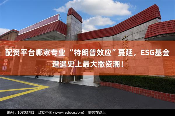 配资平台哪家专业 “特朗普效应”蔓延，ESG基金遭遇史上最大撤资潮！