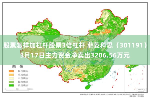 股票怎样加杠杆股票3倍杠杆 菲菱科思（301191）3月17日主力资金净卖出3206.56万元