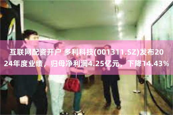 互联网配资开户 多利科技(001311.SZ)发布2024年度业绩，归母净利润4.25亿元，下降14.43%
