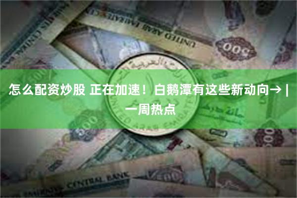 怎么配资炒股 正在加速！白鹅潭有这些新动向→ | 一周热点