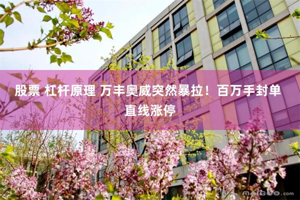 股票 杠杆原理 万丰奥威突然暴拉！百万手封单 直线涨停