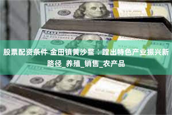 股票配资条件 金田镇黄沙鳖∶蹚出特色产业振兴新路径_养殖_销售_农产品