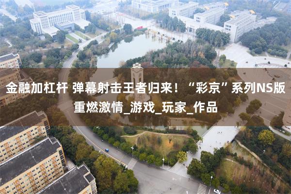 金融加杠杆 弹幕射击王者归来！“彩京”系列NS版重燃激情_游戏_玩家_作品