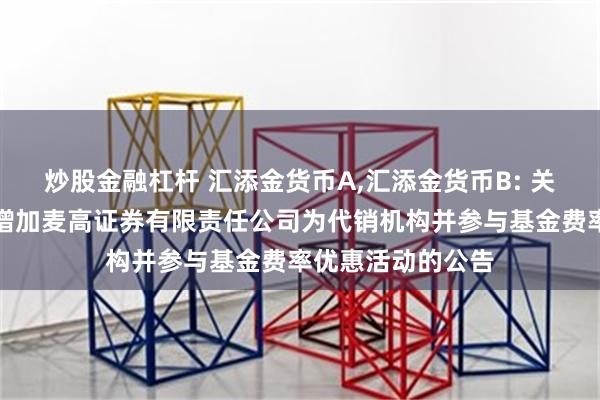 炒股金融杠杆 汇添金货币A,汇添金货币B: 关于旗下部分基金增加麦高证券有限责任公司为代销机构并参与基金费率优惠活动的公告