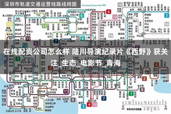 在线配资公司怎么样 陆川导演纪录片《西野》获关注_生态_电影节_青海