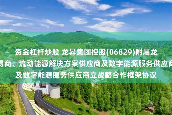 资金杠杆炒股 龙昇集团控股(06829)附属龙昇汽车服务与汽车贸易商、流动能源解决方案供应商及数字能源服务供应商立战略合作框架协议