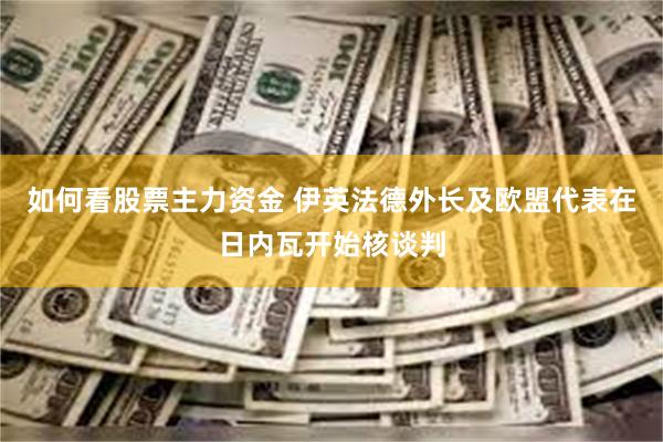如何看股票主力资金 伊英法德外长及欧盟代表在日内瓦开始核谈判