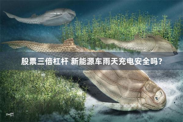 股票三倍杠杆 新能源车雨天充电安全吗？