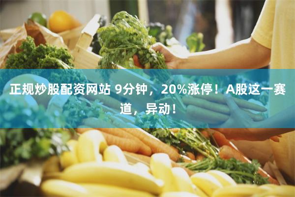 正规炒股配资网站 9分钟，20%涨停！A股这一赛道，异动！