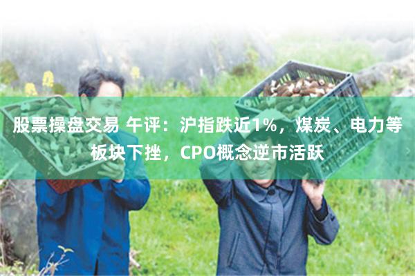 股票操盘交易 午评：沪指跌近1%，煤炭、电力等板块下挫，CPO概念逆市活跃