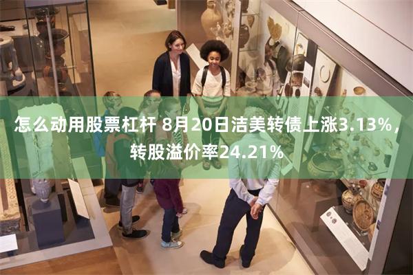 怎么动用股票杠杆 8月20日洁美转债上涨3.13%，转股溢价率24.21%
