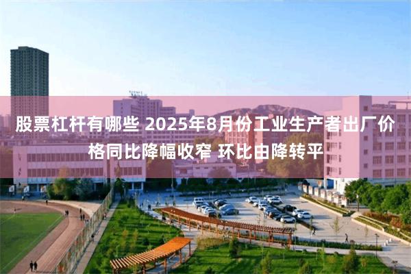 股票杠杆有哪些 2025年8月份工业生产者出厂价格同比降幅收窄 环比由降转平