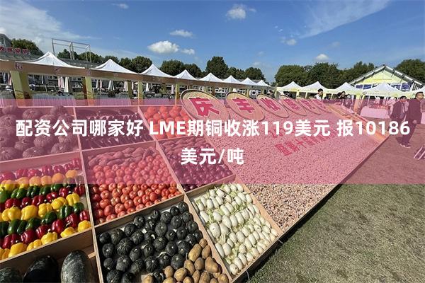 配资公司哪家好 LME期铜收涨119美元 报10186美元/吨