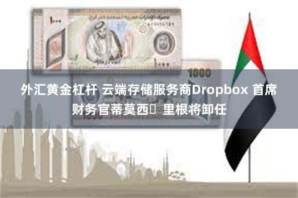 外汇黄金杠杆 云端存储服务商Dropbox 首席财务官蒂莫西・里根将卸任