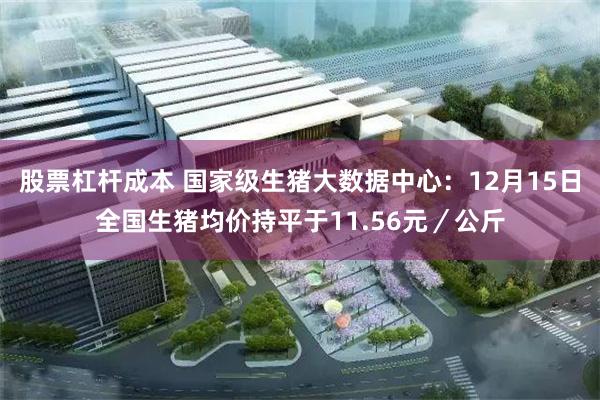 股票杠杆成本 国家级生猪大数据中心：12月15日全国生猪均价持平于11.56元／公斤