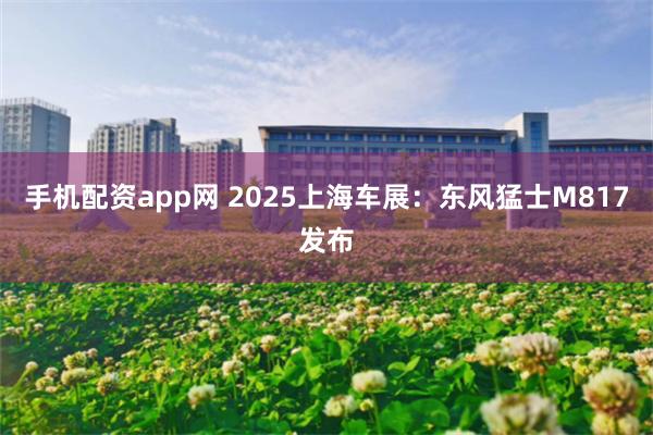 手机配资app网 2025上海车展：东风猛士M817发布
